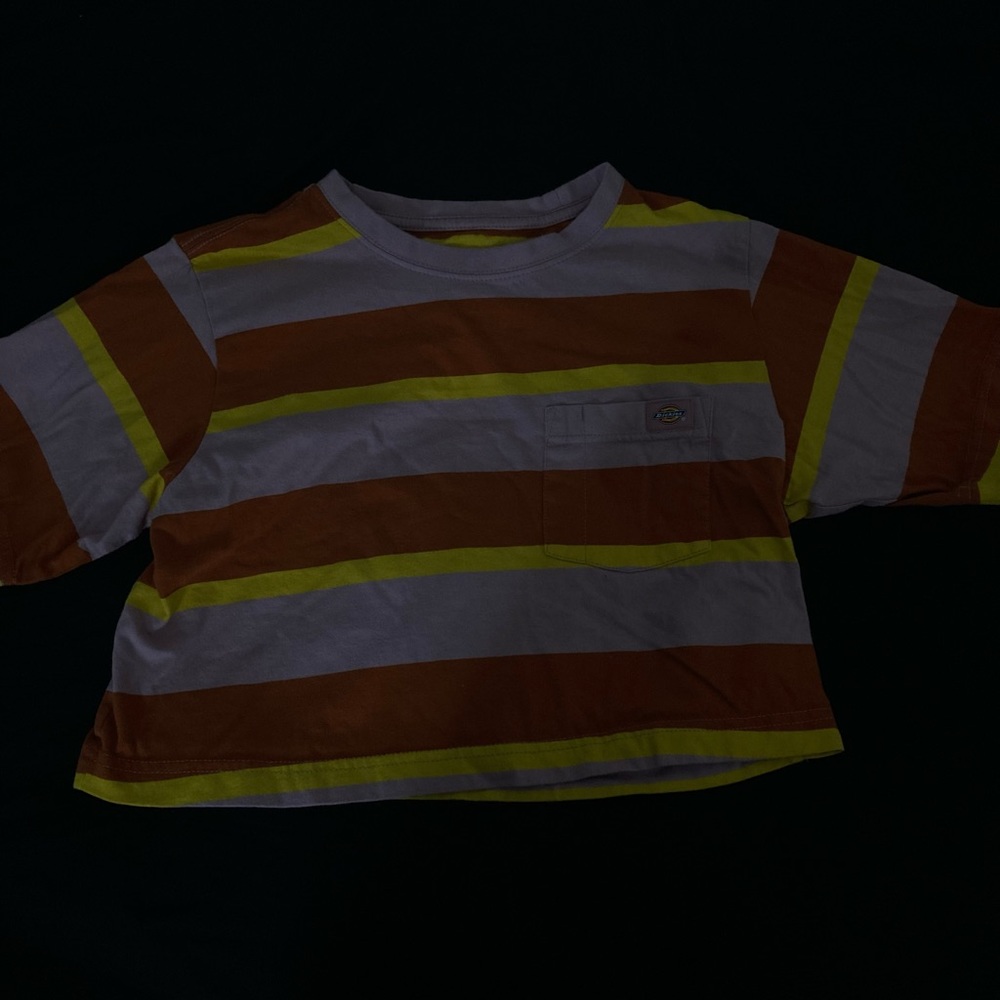 striped dickies cropped shirt